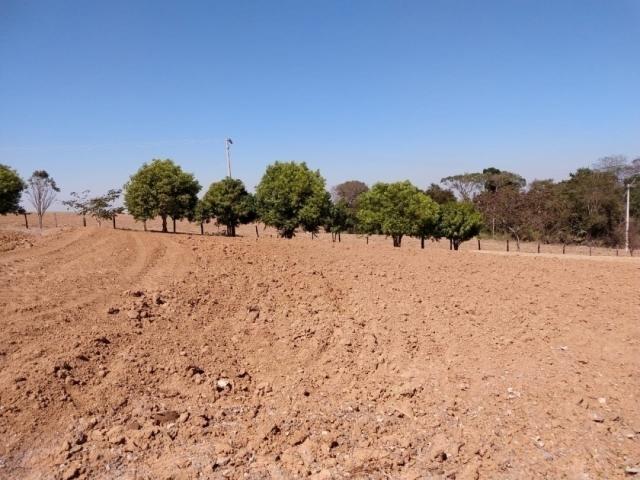 #279 - Sítio para Venda em Mombuca - SP