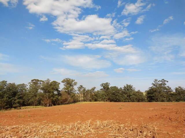 #288 - Área para Venda em Rio das Pedras - SP