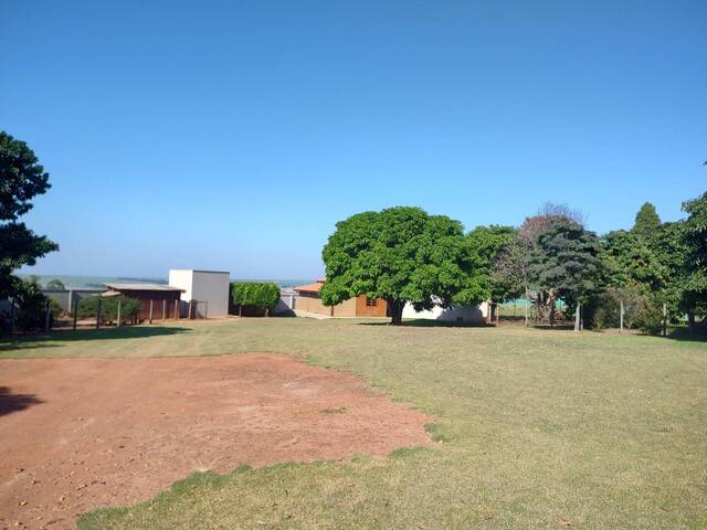  para  em  - 5