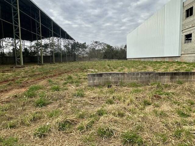 #376 - Terreno para Venda em Rio das Pedras - SP - 2