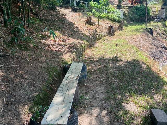 #380 - Sítio para Venda em Mombuca - SP - 3